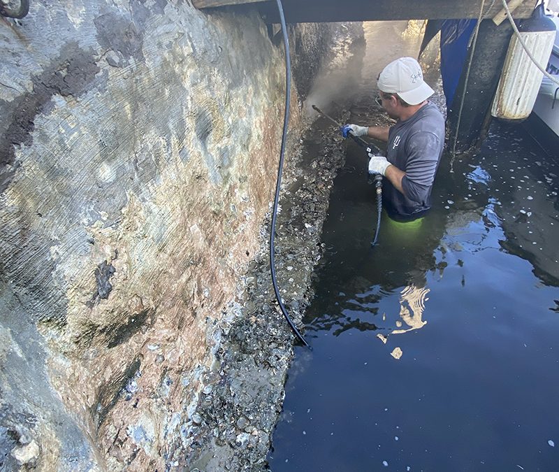 Coral Rock Seawall Repair