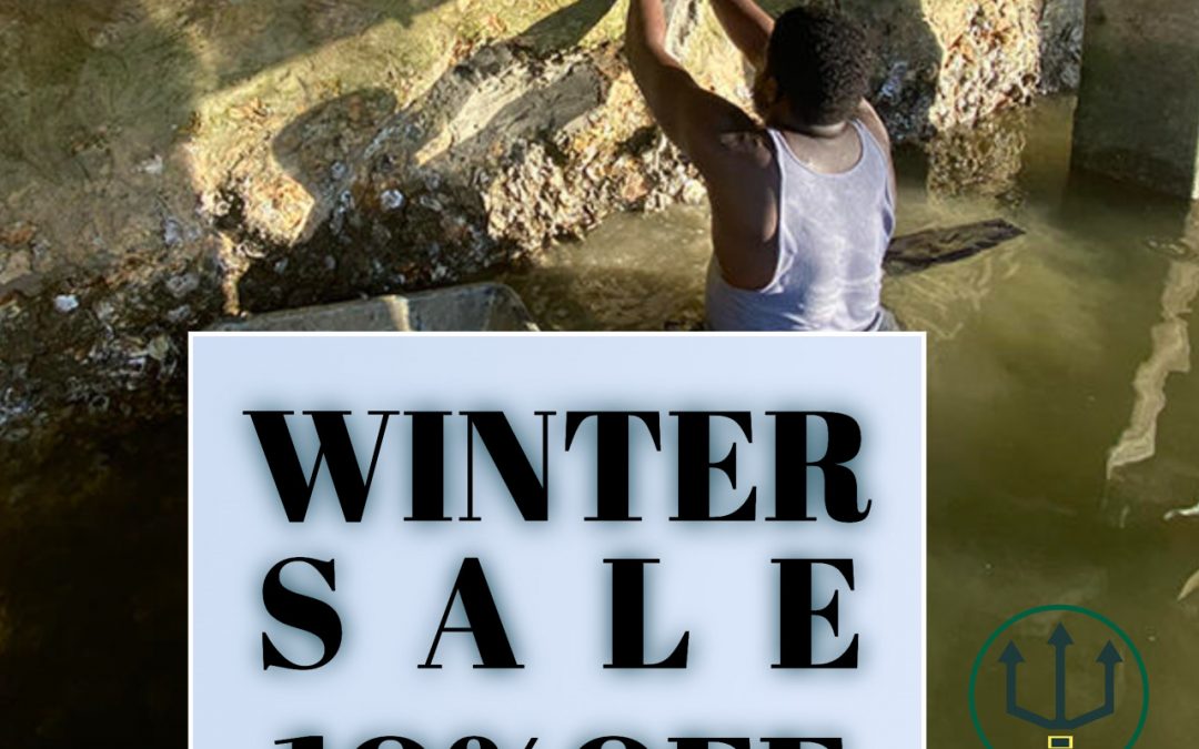 Winter Sale! 10% Off if Booked by Christmas