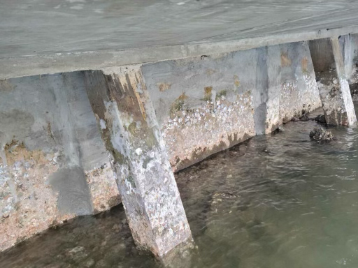 Cleaned Marine Growth from Seawall and Sealed King Pile Seams – Lighthouse Point, FL