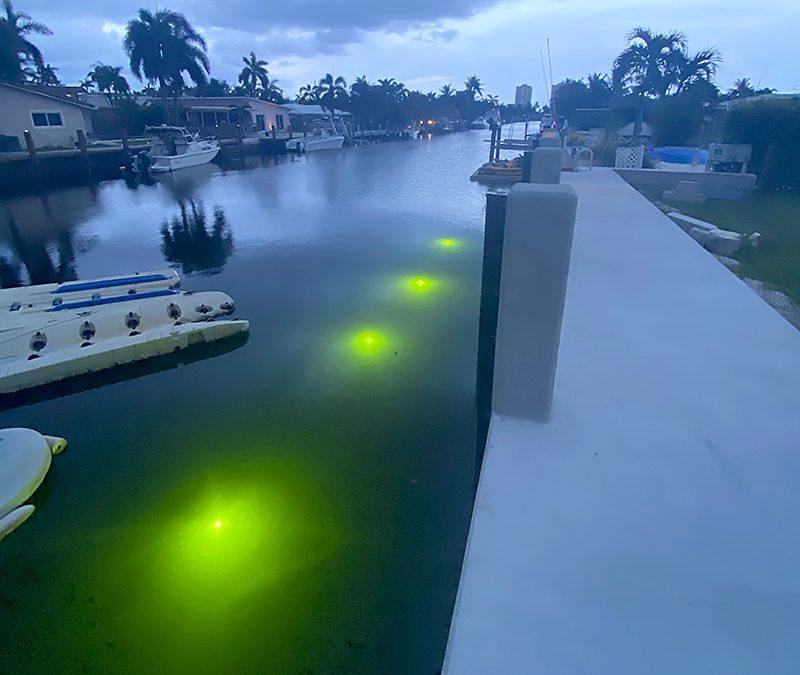 The Dock Experts custom concrete dock with underwater fish lights from Bell Brothers Electric