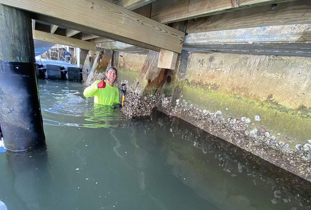 South Florida Seawall Repair – Hydros Marine Construction
