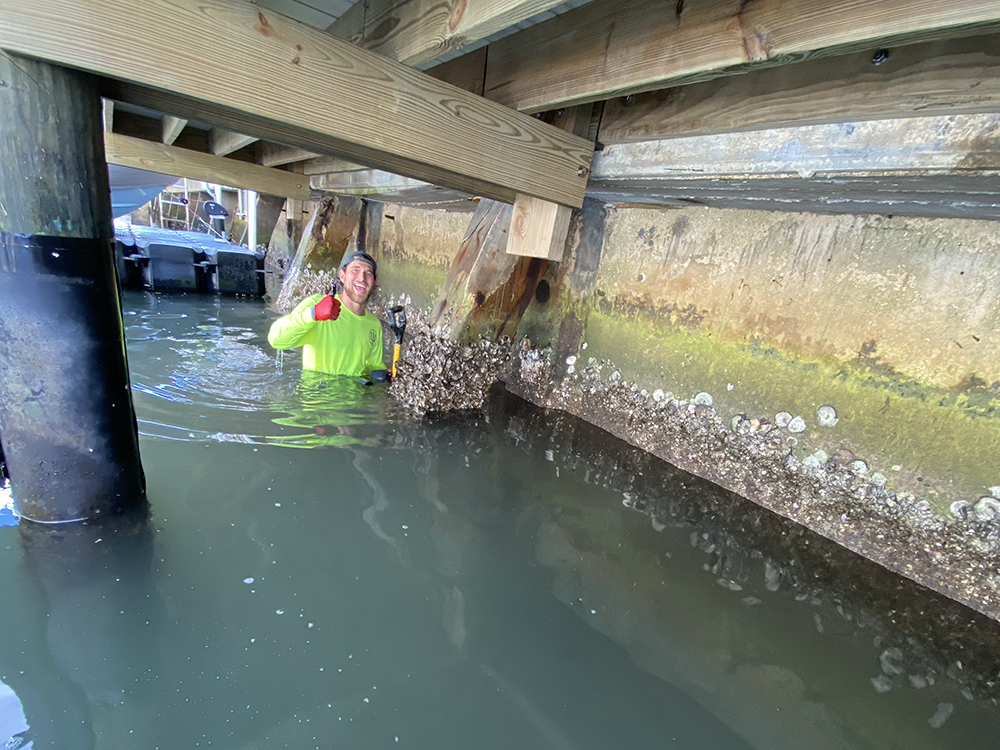 Seawall Inspections