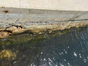 Seawall Refacing - Seawall Restoration - Seawall Maintenance