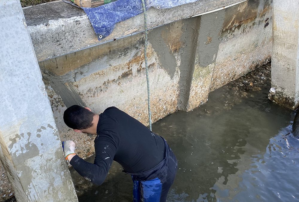 Broward County Seawall Repair Fresh Seawall Seams