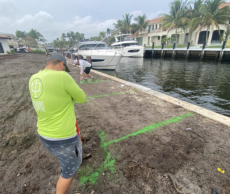 Stop Soil Loss Now Behind Your Seawall