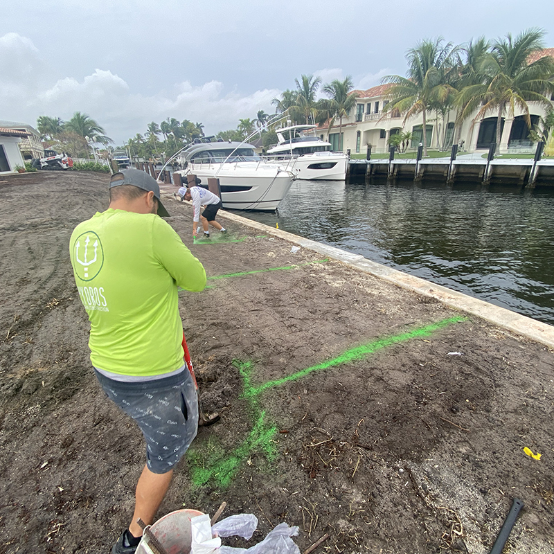 Stop Soil Loss Now Behind Your Seawall