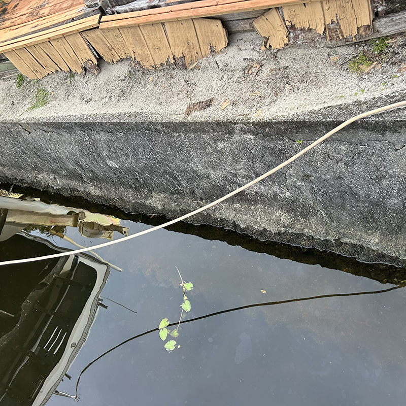 Seawall Cleaning, Seawall Restoration & Seawall Repair